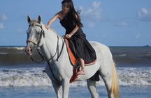 Sunrise Bali Horse Riding Sanur Beach Experience 
