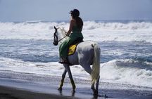 Sunrise Bali Horse Riding Sanur Beach Experience 