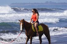 Sunrise Bali Horse Riding Sanur Beach Experience 