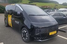 Jeju English Private Taxi Tour(1day, 2days, 3days & 1 to 8pax)
