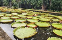 Mauritius Sightseeing Guided Private Tours