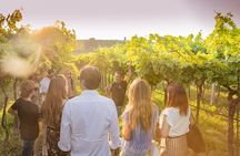 The Traditions of Valpolicella