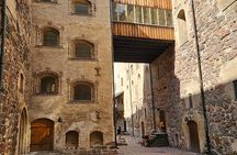 Turku Castle & City: Fully Guided Day Tour from Helsinki