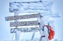 7 Day Lemosho Route Kilimanjaro Climb Scenic trek Route