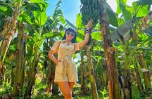 Private Felucca Trip to Banana Island & Private Transfer in Luxor