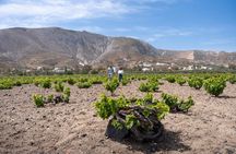 Island Tour Daytime with Winery visit & Wine Tasting Lunch