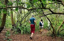 Jozani Forest Kuza Cave Paje Beach and Rock Restaurant