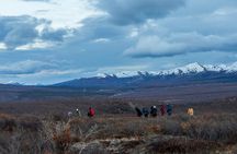 Overnight Denali National Park plus Aurora Chase Tour