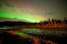 Overnight Denali National Park plus Aurora Chase Tour