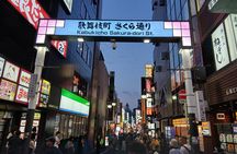 Tokyo Kabukicho Tour & Dinner Party - for Adults Only 