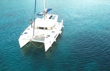 Full day EN Catamaran Martinique Dolphins and Turtles