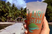 Full day EN Catamaran Martinique Dolphins and Turtles