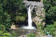 Explore Waterfalls and Ubud Surrounding