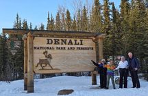 Denali National Park plus Aurora Chase Tour