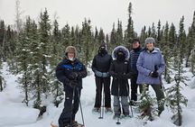 Denali National Park plus Aurora Chase Tour