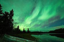 Denali National Park plus Aurora Chase Tour