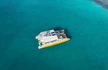 5 Star Lunch Cruise on Tiami Catamaran