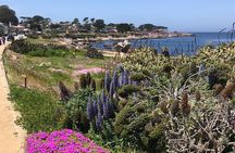 Half Day Monterey Peninsula Sightseeing Tour 