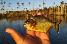 Piranha Fishing on Lake Yacumama