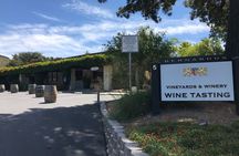 Afternoon Half-day Carmel Valley Wine Tasting Tour
