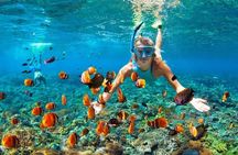 From Sanur or Ubud: Snorkeling at Blue Lagoon by Group Transfers
