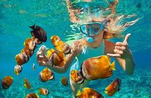 From Sanur or Ubud: Snorkeling at Blue Lagoon by Group Transfers