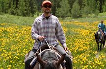 Bryans Flat View Horseback Ride