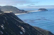 Big Sur Sightseeing Tour