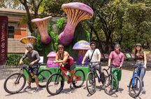 Chapultepec Castle or Anthropology Museum bike tour