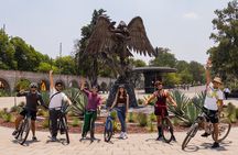 Chapultepec Castle or Anthropology Museum bike tour