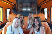 Ephesus Tour For Cruise Guests included Tickets + Lunch + Vip