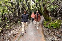 Small Group Half Day Guided Tour Visit to Poas Volcano