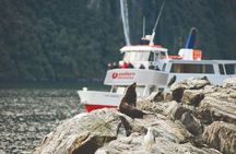 Milford Sound Extended Cruise with Southern Discoveries