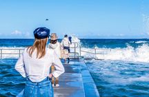 Escape Sydney: Sea Cliff Bridge, Wildlife, Kiama Coast Private 