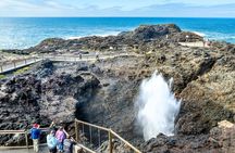 Escape Sydney: Sea Cliff Bridge, Wildlife, Kiama Coast Private 