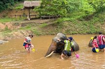 Elephant Care & Bathing Chiang Rai