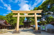 Tokyo Morning Tour Meiji Shrine, Asakusa and Local temple
