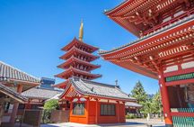 Tokyo Morning Tour Meiji Shrine, Asakusa and Local temple