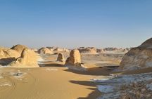 White Desert & Black Desert Tour for 2 Days and 1 night camping