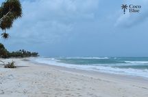 Full Day Private Tour to Galle from Colombo Sri Lanka