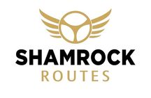 Dublin City Luxury Car Tour Experience