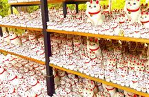 Tokyo Gotokuji Cat Temple and Shinjuku Cat Cafe, Giant 3D Cat