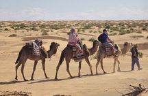 Private Full-Day 4x4 Excursion to Ksar Ghilane