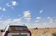 Private Full-Day 4x4 Excursion to Ksar Ghilane
