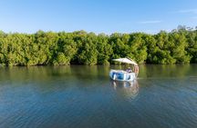 Self Drive BBQ E Boat Cruise with Onboard BBQ Denarau Fiji