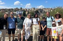 Pompeii Ruins Tour with Local Wine & Light Lunch from Naples