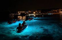 Pula: Sunset/Night-time Illuminated Transparent Kayak Tour