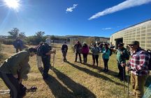 Puerto Natales excursion to the base of Torres Del Paine
