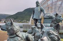 Guided Polar Bear Walk incl. Polaria & Polar Museum