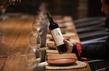 Bodega Gamboa Small-Group Wine Tasting Tour with Lunch